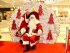 animation-papa-noel-enfant-evement-deambulation-decor-luxueux-stand-costume-