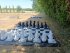 jeu-echec-dame-mariage-charente-maritime-domaine