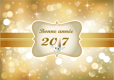 bonne-annee-2017-structure-gonflable